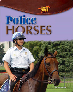 Police Horses