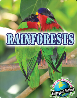 Rainforests
