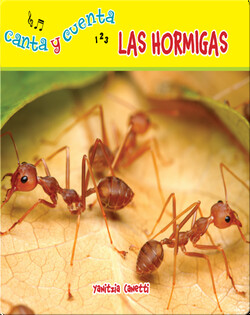 Las hormigas