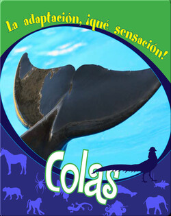 Colas
