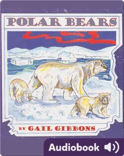 Polar Bears