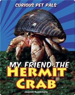 My Friend the Hermit Crab