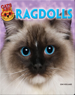 Ragdolls