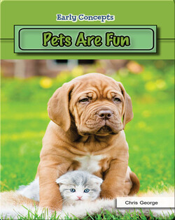 Pets Are Fun