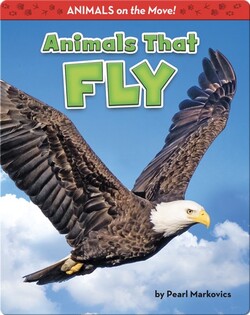 Animals That Fly