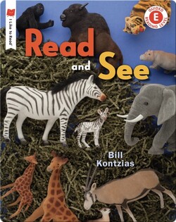 Read and See
