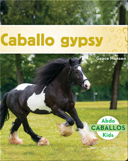 Caballo gypsy