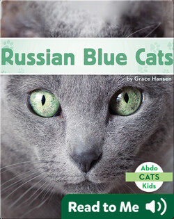 Russian Blue Cats