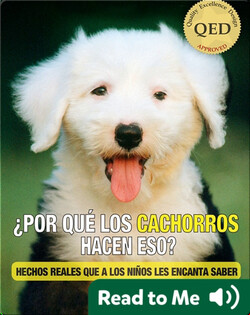 ¿Por Que los Cachorros Hacen Eso?