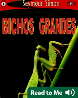 Bichos Grandes
