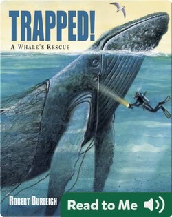 Trapped!: A Whale's Rescue