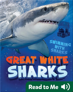Great White Sharks