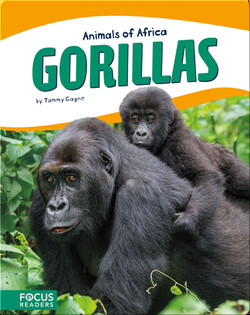 Animals of Africa: Gorillas