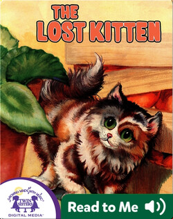 The Lost Kitten