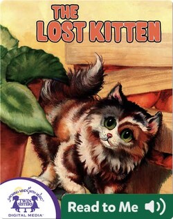 The Lost Kitten