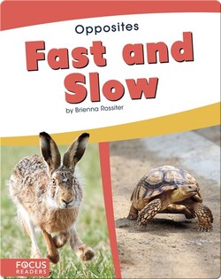 Opposites: Fast and Slow
