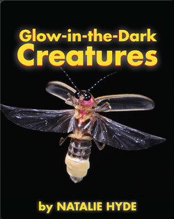 Glow-in-the-Dark Creatures