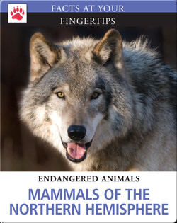 Mammals of the Northern Hemisphere