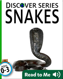 Snakes