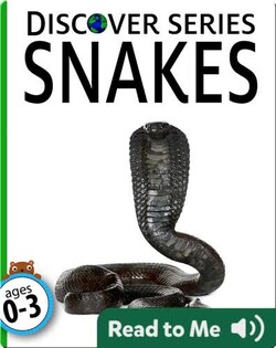 Snakes