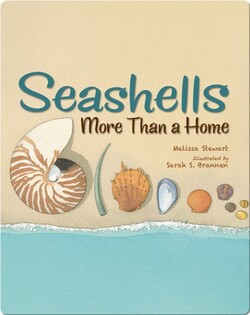 Seashells