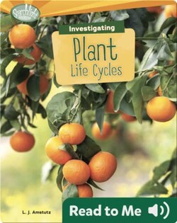 Investigating Plant Life Cycles