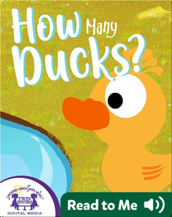 How Many Ducks?