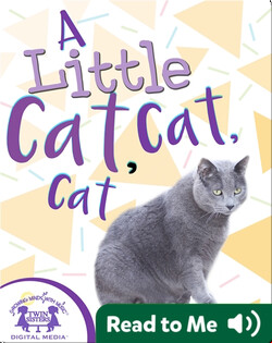 A Little Cat, Cat, Cat