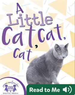 A Little Cat, Cat, Cat