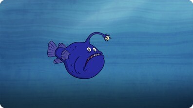 I’m A Football Fish