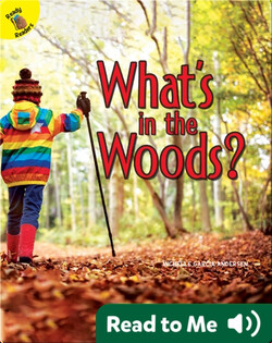 What's in the Woods?