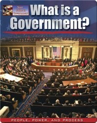 What is a Government?