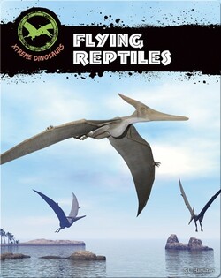 Flying Reptiles