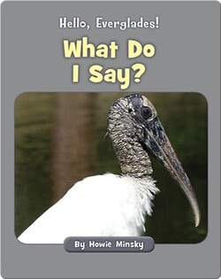 Hello, Everglades!: What Do I Say?