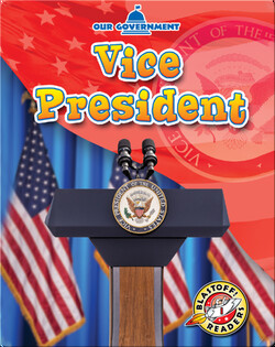 Our Government: Vice President