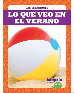 Lo que veo en el verano (What I See in Summer)
