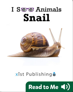 I See Animals: Snail