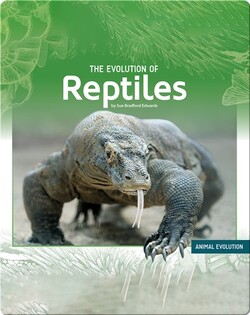 The Evolution of Reptiles