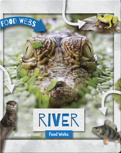 River Food Webs