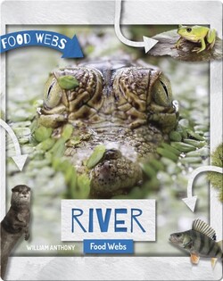 River Food Webs