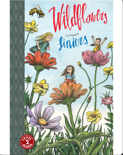 Wildflowers (TOON Level 2)
