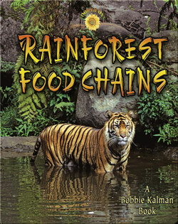 Rainforest Food Chains