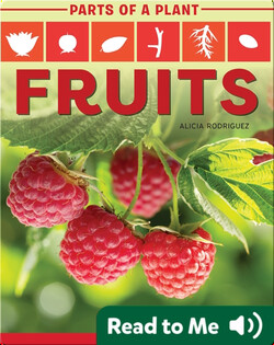 Parts of a Plant: Fruits