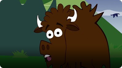 I'm a Bison