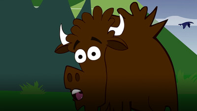 I'm a Bison