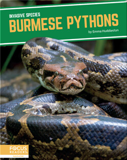 Invasive Species: Burmese Pythons
