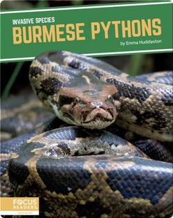 Invasive Species: Burmese Pythons