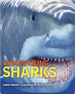 Discovering Sharks
