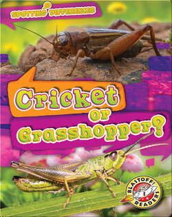 Spotting Differences: Cricket or Grasshopper?