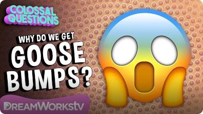 Colossal Questions: Why Do We Get Goose Bumps?